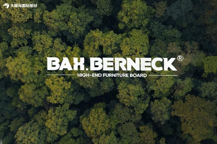 BAX.BERNECK：高端板材引领全屋定制新潮流